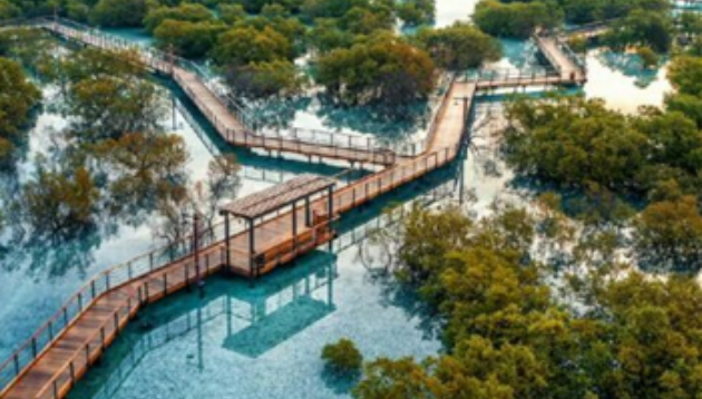 Jubail Mangrove Park