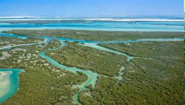 Eastern Mangrove National Park